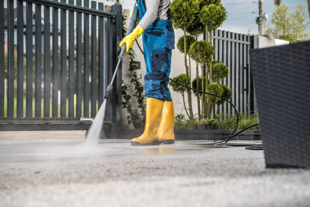Best Roof Power Washing Services  in Holly Springs, GA